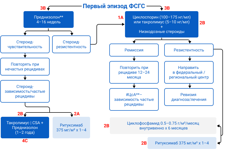 Рисунок 3. Алгоритм терапии фокально-сегментарного гломерулосклероза.