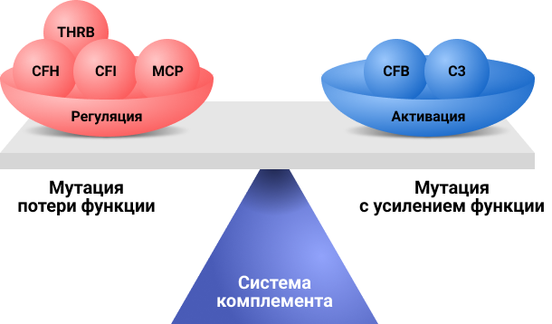 Рисунок 2. Влияние мутаций на работу системы комплемента.